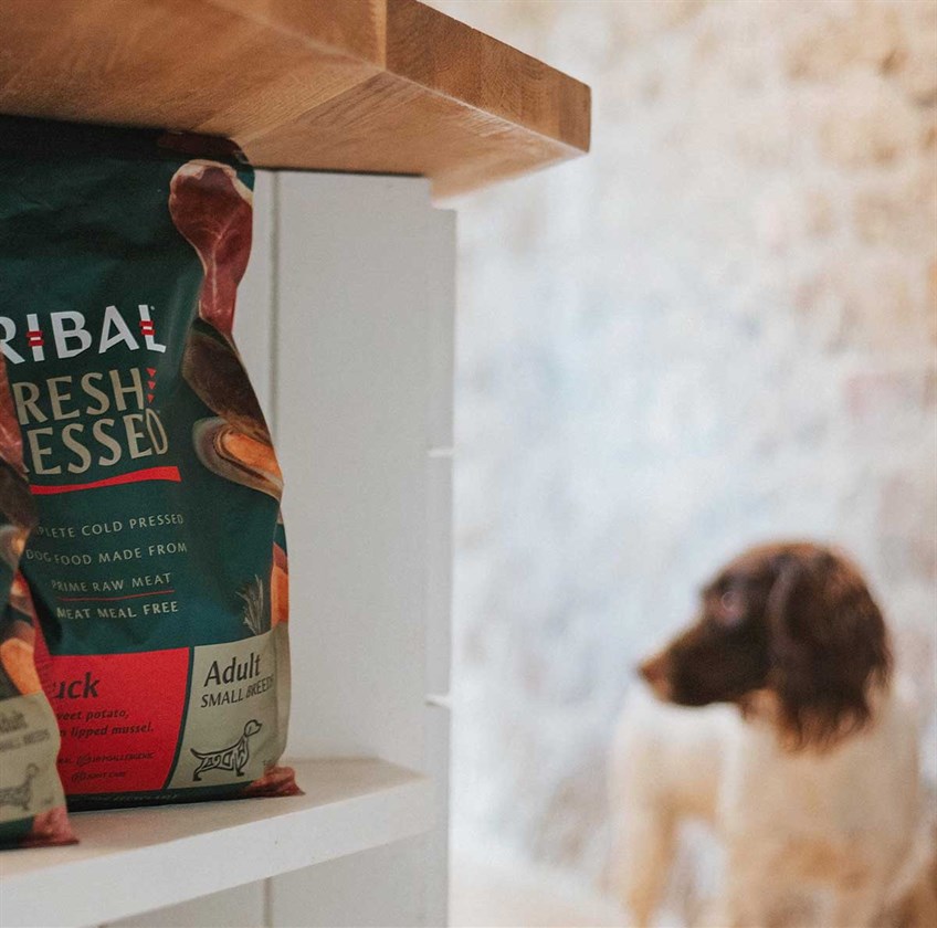 tribal dog food pets at home